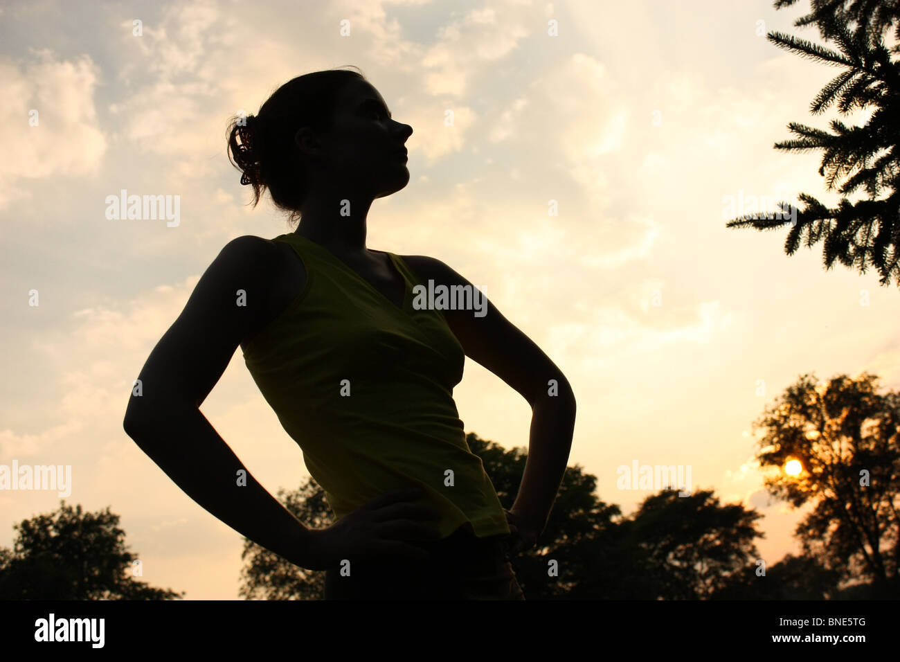 Yoga Couple Training in Sunset in Tree Pose Stock Image - Image of body,  adult: 39138609