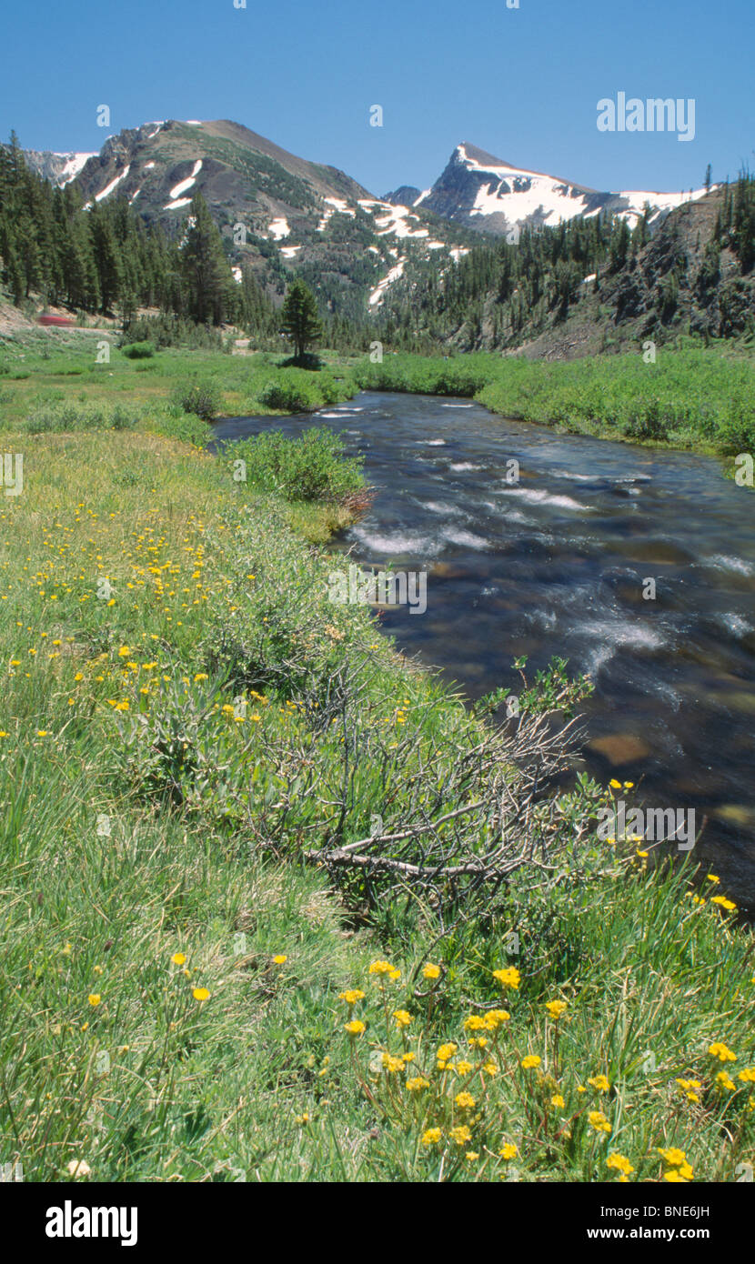 Saddlebag yosemite hires stock photography and images Alamy