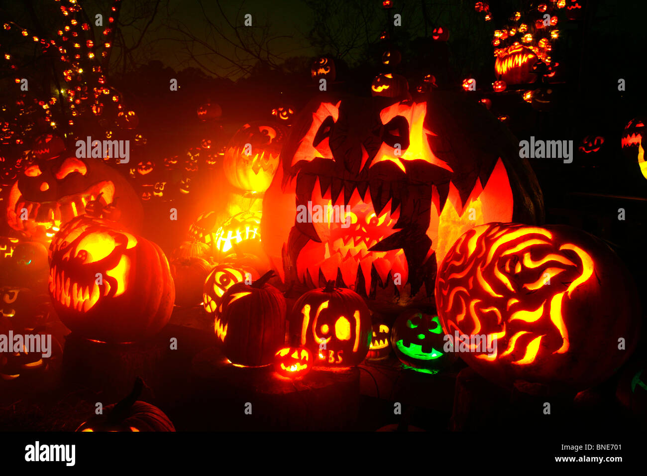 Jack o' lanterns lit up at night, Roger Williams Park Zoo, Providence