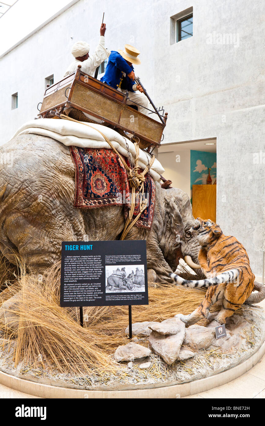 An exhibit of a tiger hunt in the Royal Armouries Museum, Leeds Stock