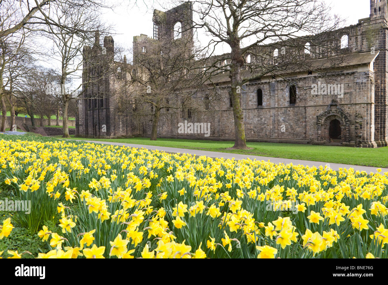 Springtime at Kirkstall Abbey, Leeds, Yorkshire Stock Photo