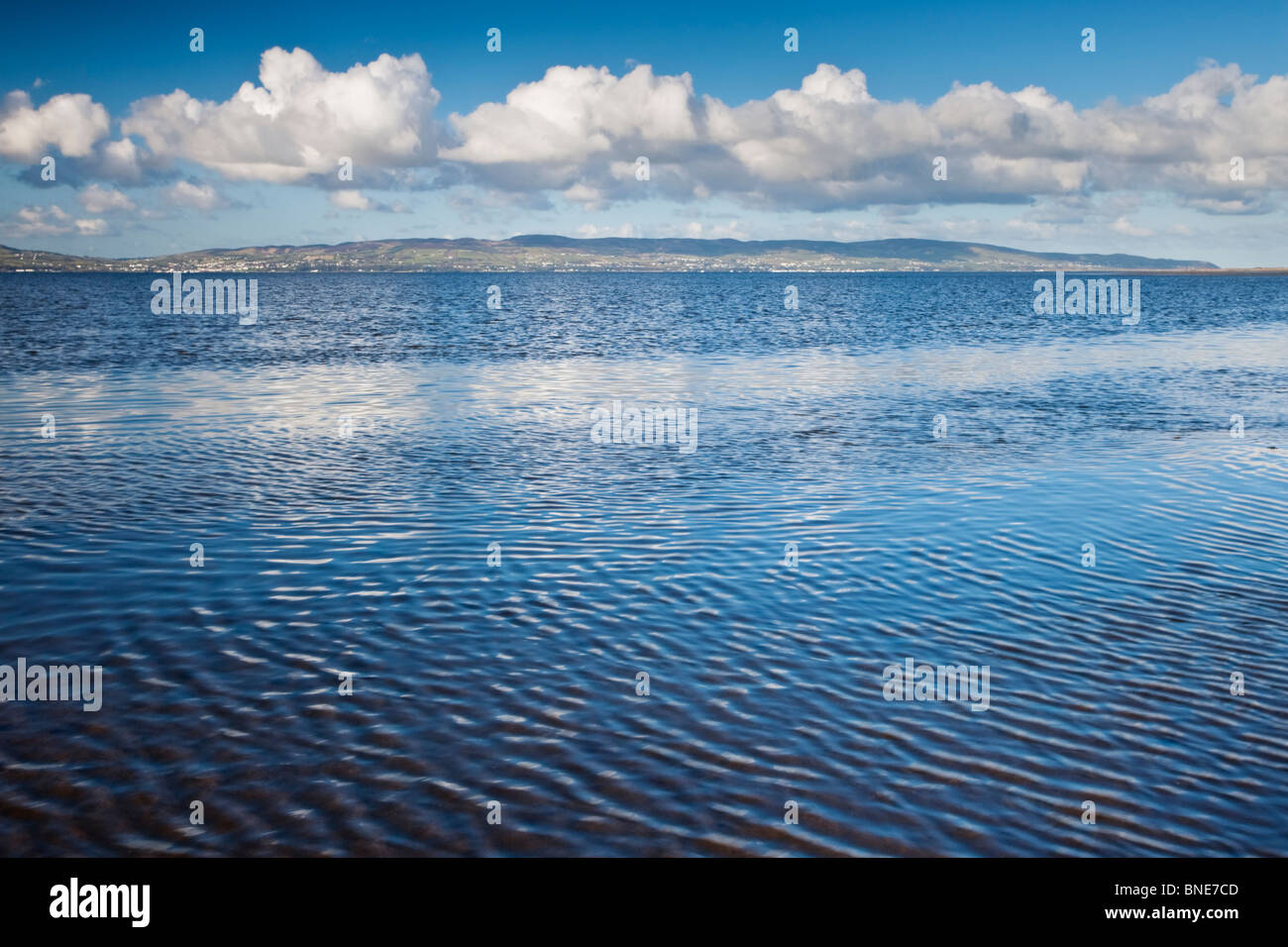 The incoming tide flowing into Lough Foyle near Balls Point at the mouth of the River Roe, County Derry, Northern Ireland Stock Photo
