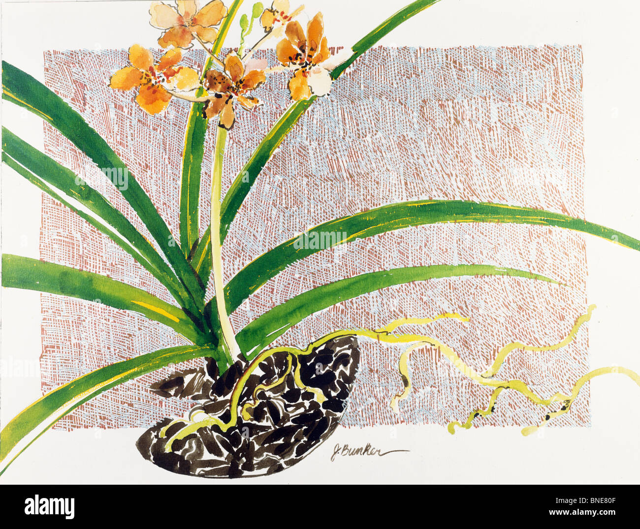 Golden Orchid II  1990  John Bunker (20th C. American)  Watercolor and metallics Stock Photo