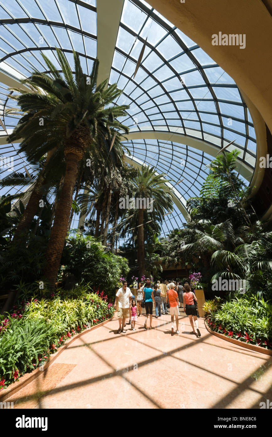 The tropical conservatory entrance, The Mirage, an MGM resort hotel on the Las  Vegas strip Stock Photo - Alamy
