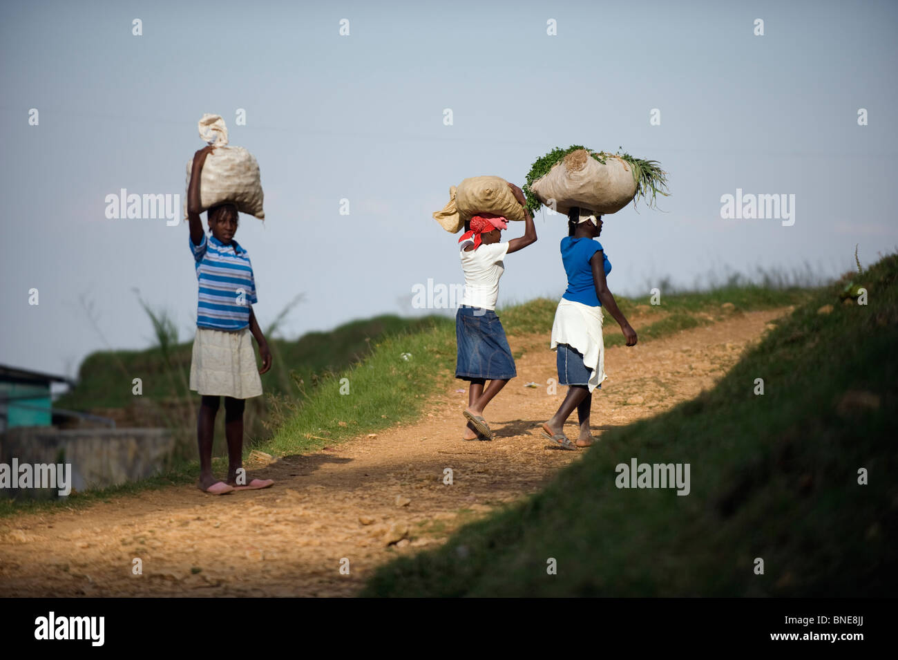 Girls carrying sacks on their heads, Kenscoff mountains above Port au Prince, Haiti, Caribbean Stock Photo