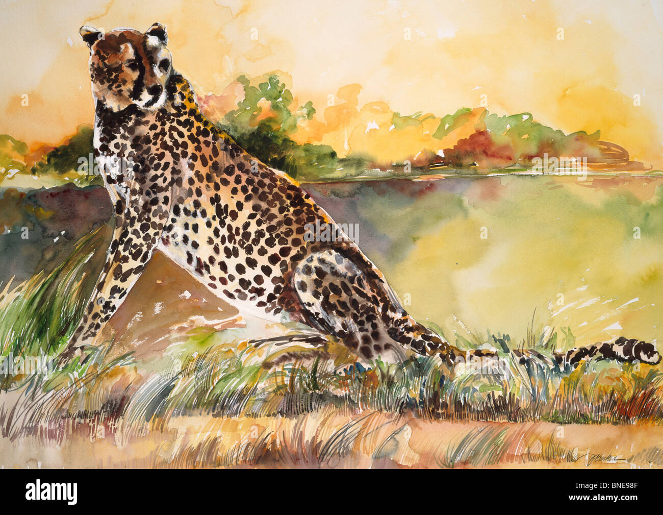 Africa Kenya Safari Cheetah Ii By John Bunker Watercolor 1996