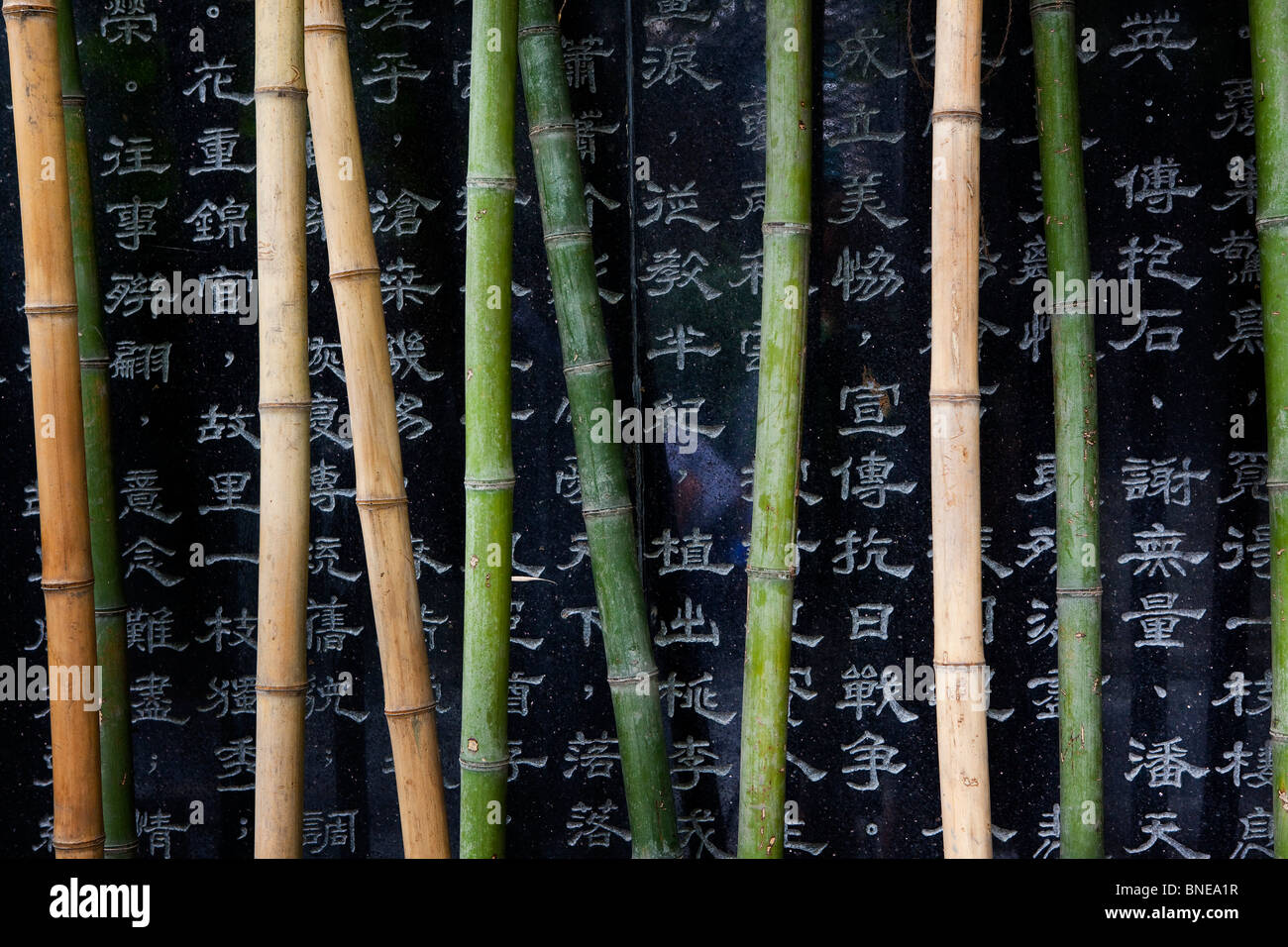 Close-up of bamboos with Chinese script, China Stock Photo