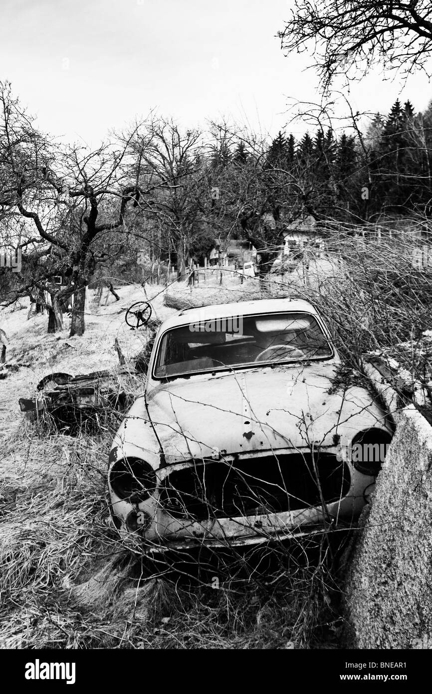 Old french car, rusted and damaged in nature in black and white Stock Photo