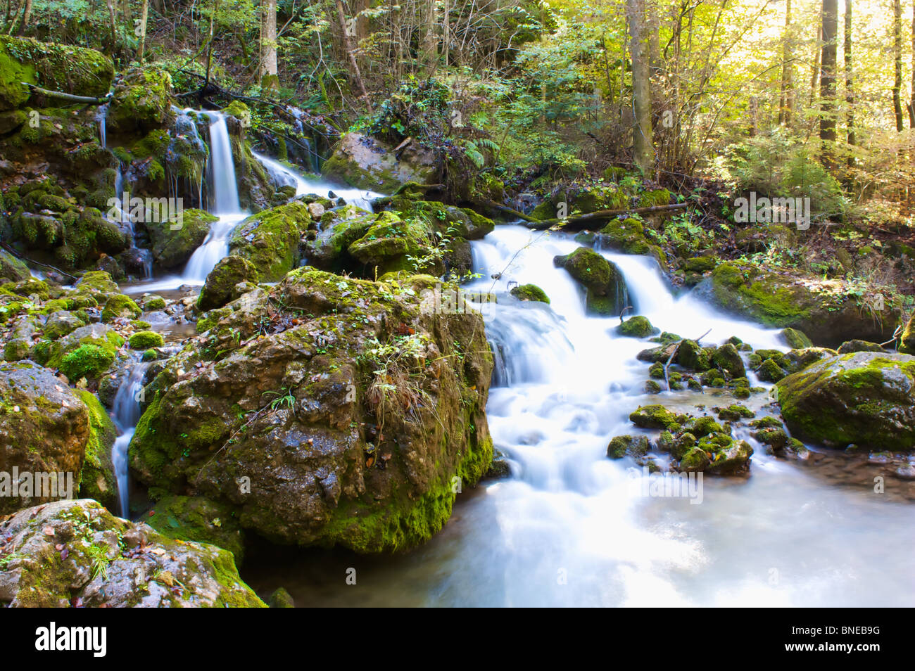 Waterfall In Forrest With Moss On Rocks Stock Photo Alamy
