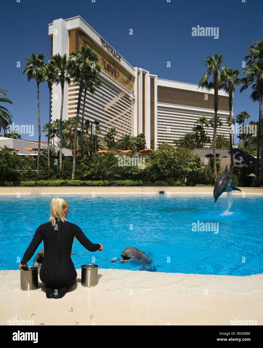 Dolphin pool at the Mirage, an MGM resort hotel on the Las Vegas strip