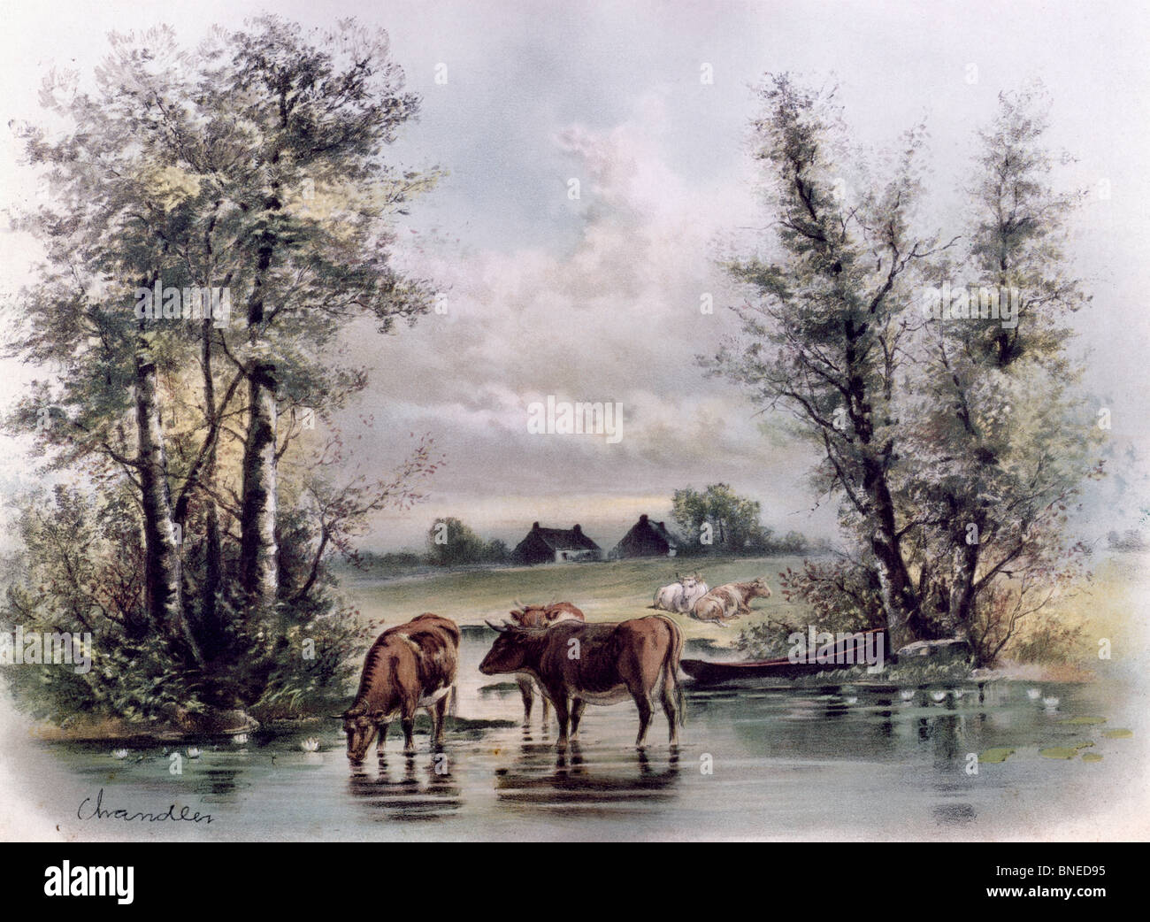 Cows in Stream, artist unknown,, 19th-20th Century Stock Photo