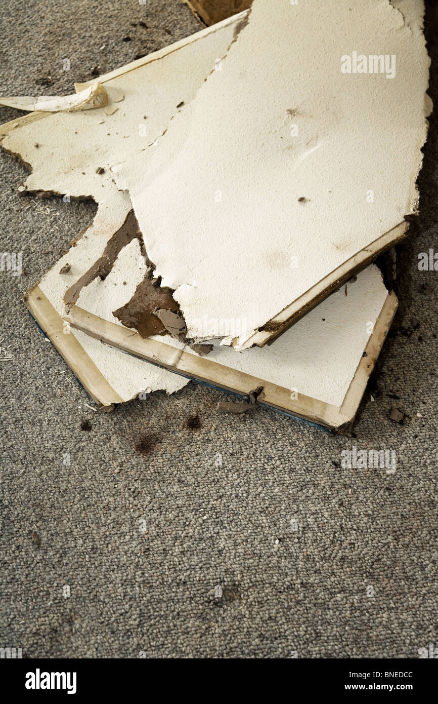 Home Interior Water leaking damaged plasterboard and carpet Stock Photo