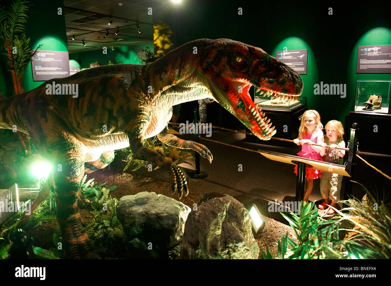 Sculpture of Velociraptor at Witte museum housing Dinosaur exhibition in Texas San Antonio, USA Stock Photo
