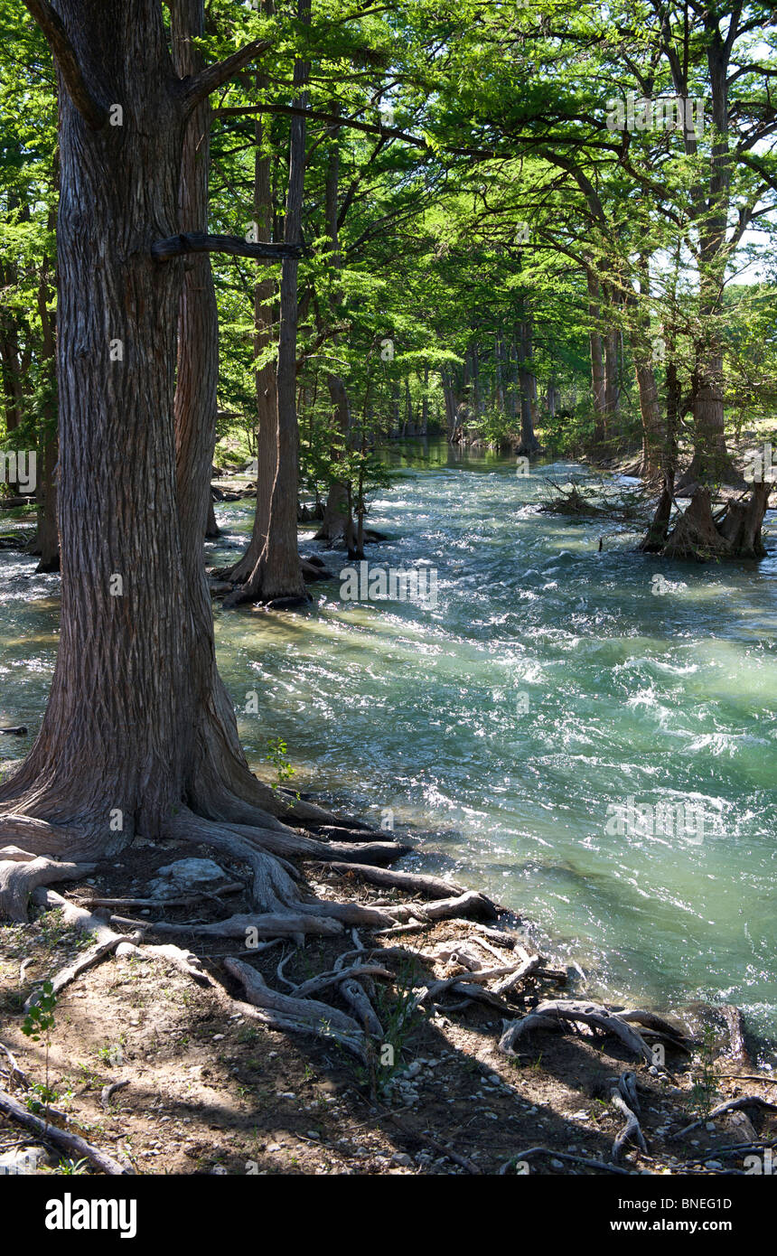 River flooding its bank in Hill Country, Texas, USA Stock Photo