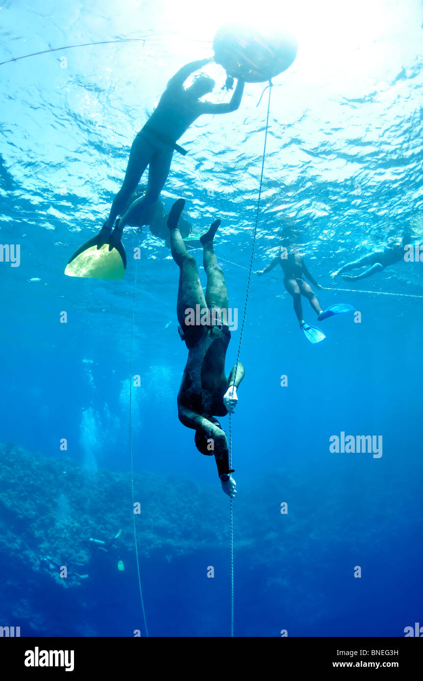 apnea beautiful below belt blue breaststroke color deep depth dive