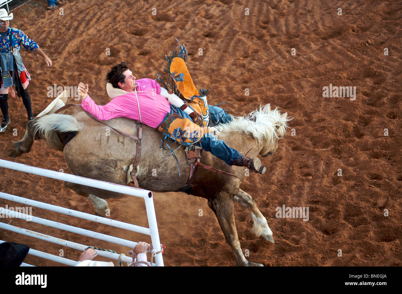 Horse trying to throw rodeo cowboy member of PRCA from its back in