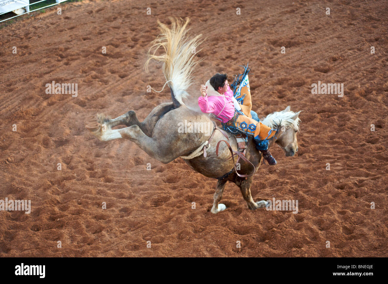Horse trying to throw rodeo cowboy member of PRCA from its back in Smalltown Texas Bridgeport Stock Photo