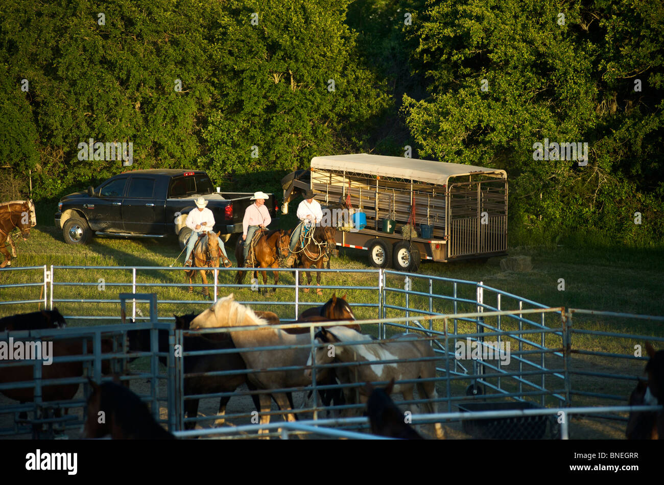 Cowboy members of PRCA riding horses backstage at rodeo event in Bridgeport, Texas, USA Stock Photo