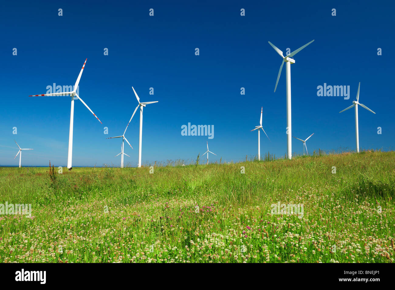 Wind turbine, wind farm, Pomerania, Poland Stock Photo