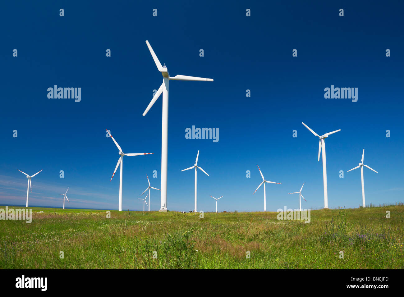 Wind turbine, wind farm, Pomerania, Poland Stock Photo