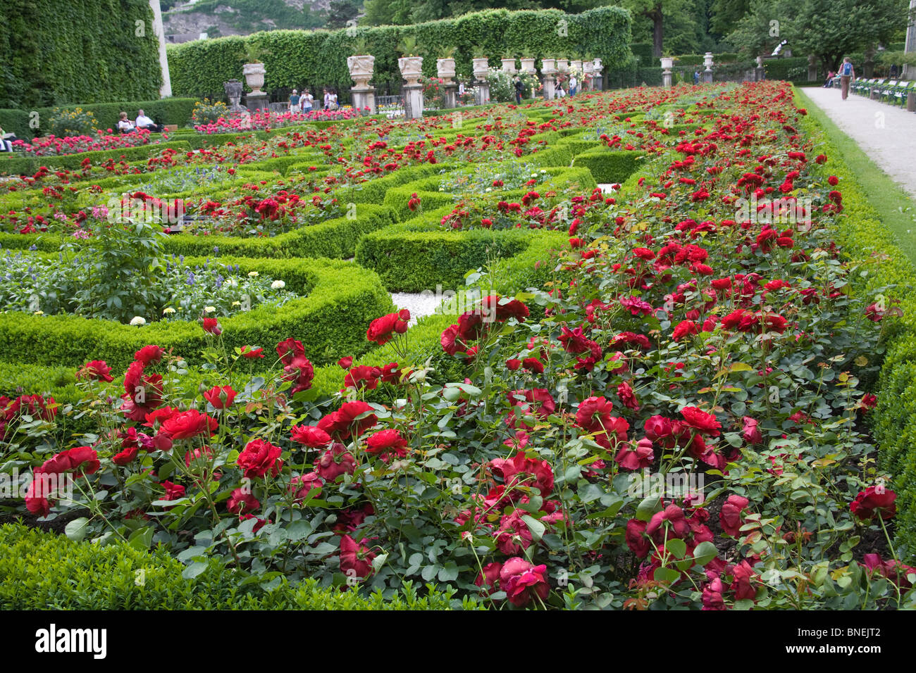 Rose Beds High Resolution Stock Photography and Images - Alamy