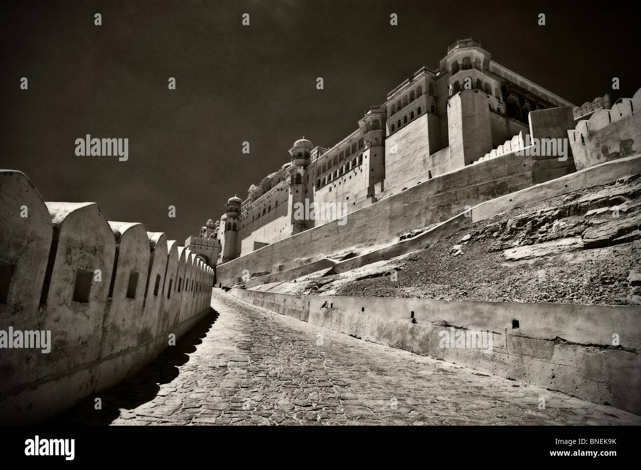 Amber Fort, Jaipur Stock Photo