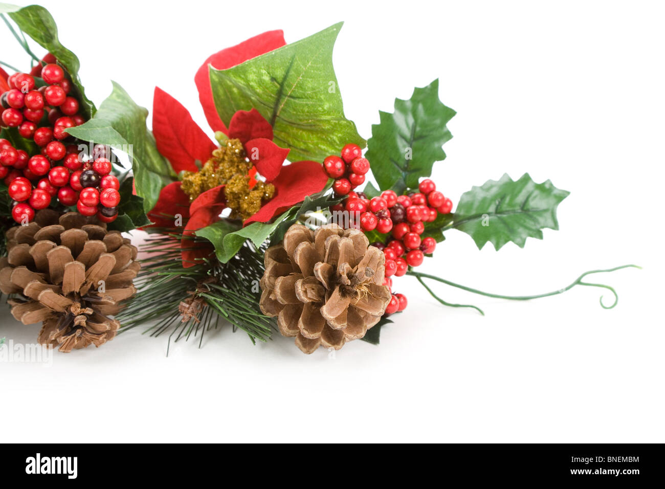 Christmas Decoration, Poinsettia, Pinecone, Holly Stock Photo