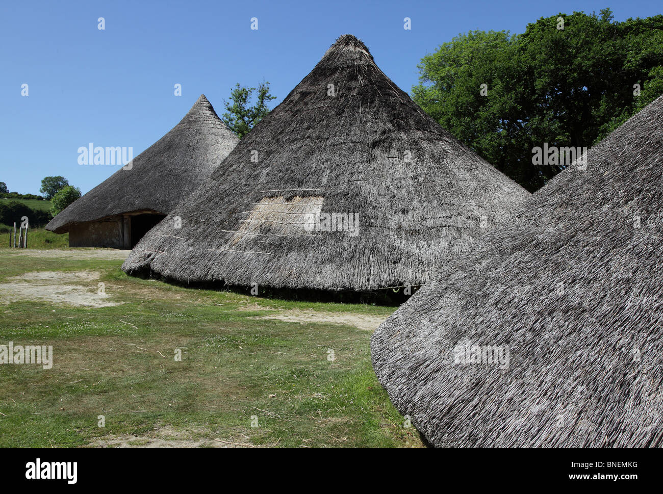 CELTIC ROUNDHOUSES AT CASTELL HENLLYS.  PEMBROKESHIRE.  DYFED.  WALES.  UK Stock Photo