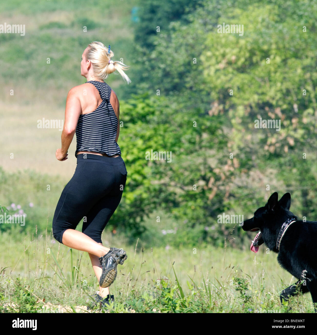 A blond woman female running jogging with her black dog. Stock Photo