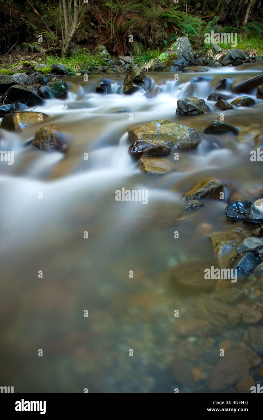 River new zealand rock hi-res stock photography and images - Alamy