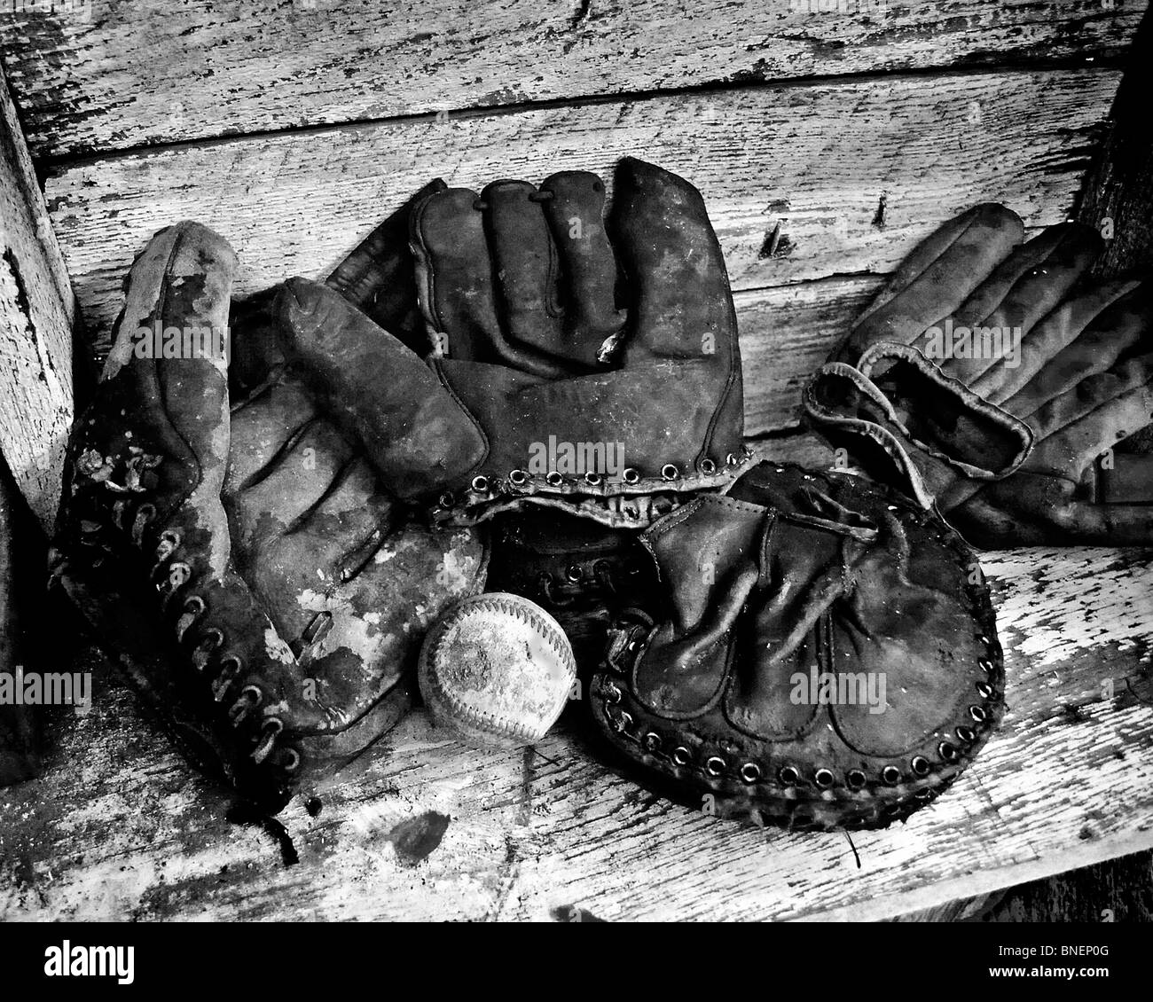 Weathered, worn antique 1950s era baseball gloves collect dust in an old farm house on the mid