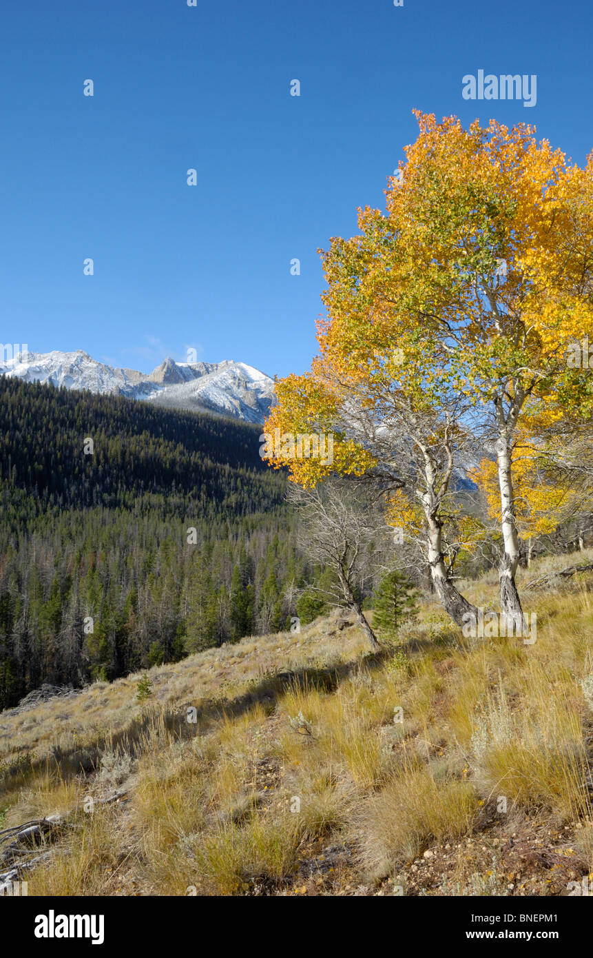 Autumn / Fall colour in the Sawtooth Mountains, Sawtooth Wilderness / National Recreation Area, Rocky Mountains, Idaho, USA Stock Photo