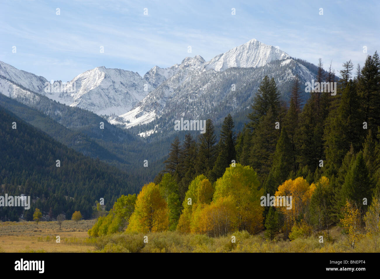 Autumn / Fall colour, Slate Creek, White Cloud Mountains, Rocky ...