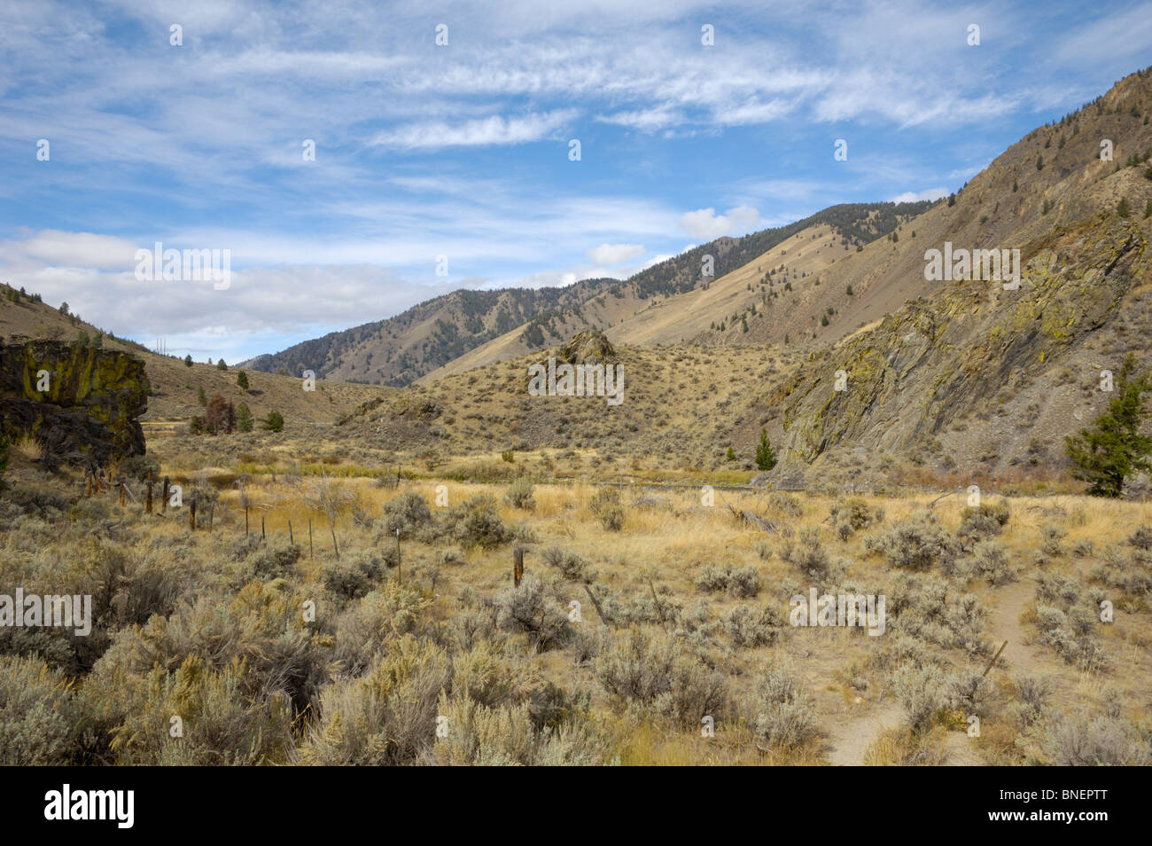 Salmon River, Rocky Mountains, Idaho, USA Stock Photo Alamy