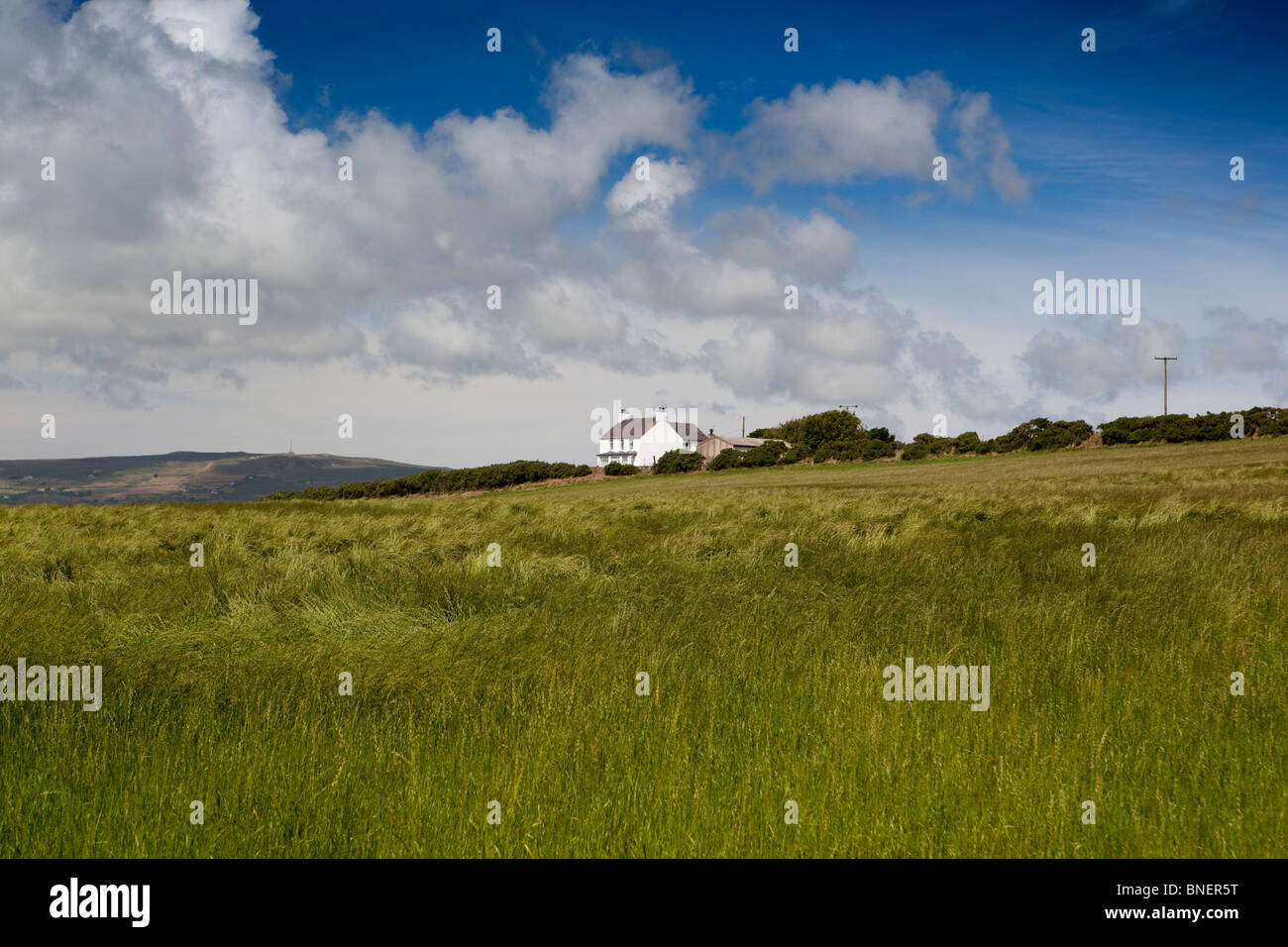 UK, Wales, Gwynedd, Lleyn Peninsula, Sarn Bach, isolated rural property Stock Photo