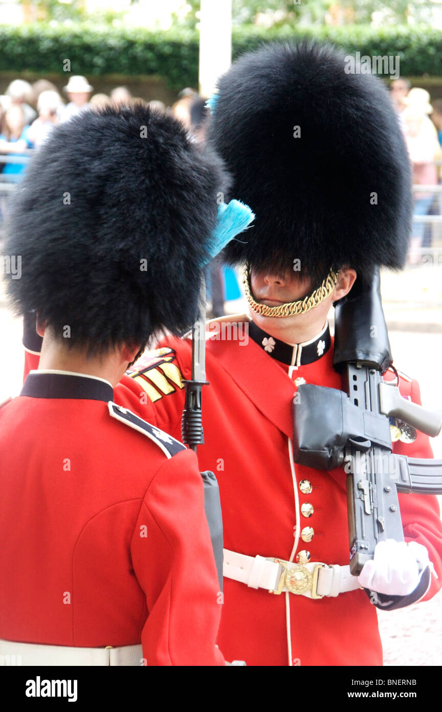 Commanding officer adjusting bearskin of trooper / guardsman on The Mall Trooping the Colour June 2010 London England UK Stock Photo