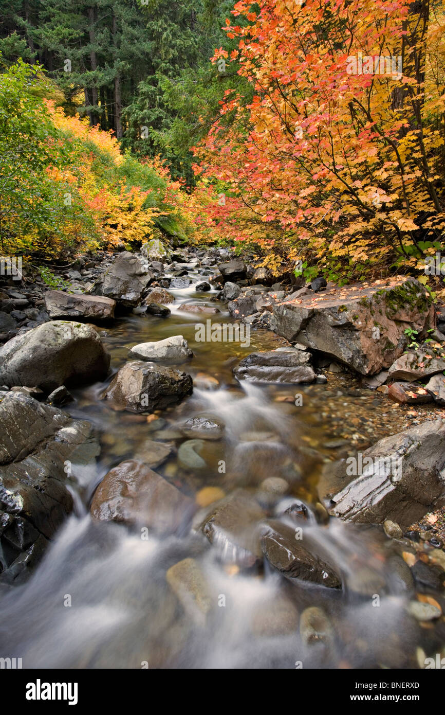 Gifford Pinchot National Forest Stock Photo Alamy