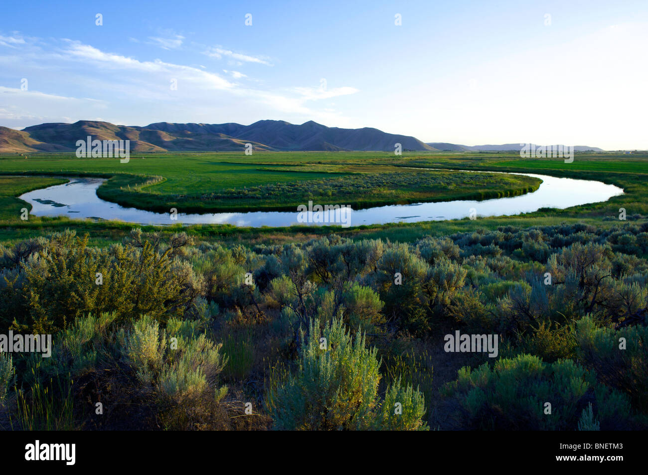 Picabo hires stock photography and images Alamy