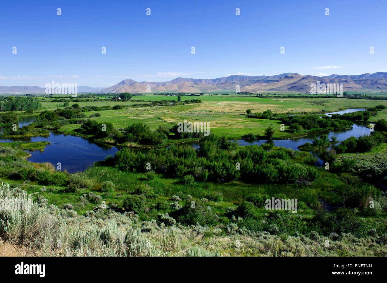 Silver Creek preserve Stock Photo Alamy