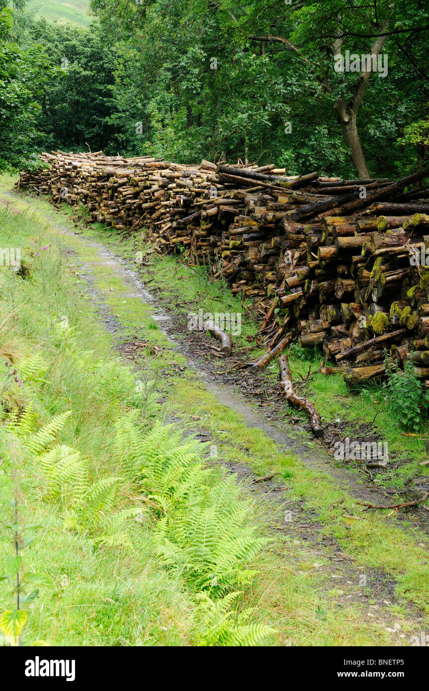 Log logging stacked path walkway hi-res stock photography and images ...