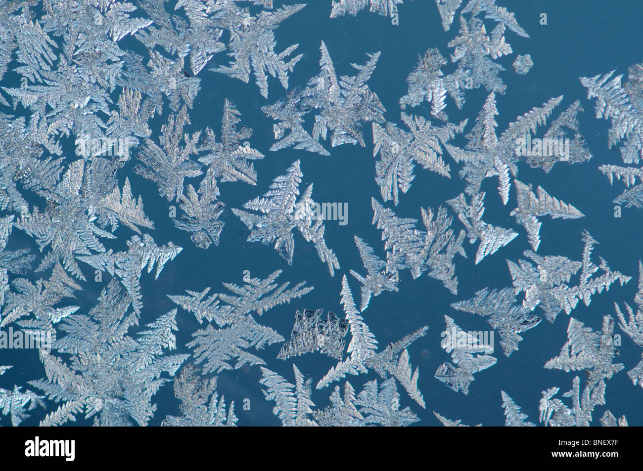 Ice crystals from humidity condensation forming outside a window glass