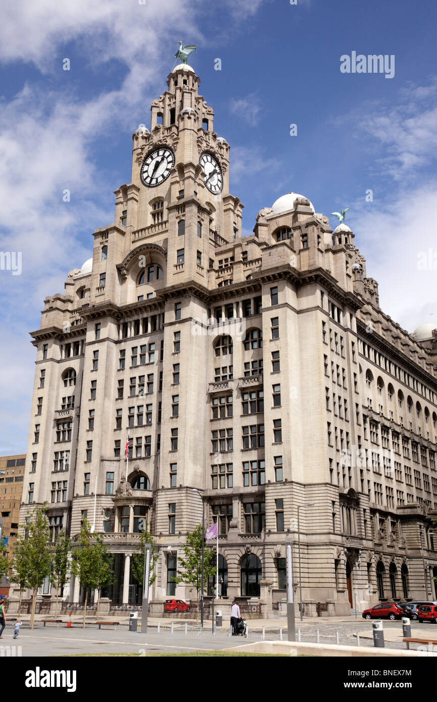 Facade of the Royal Liver Building from the docks Liverpool Merseyside UK Stock Photo