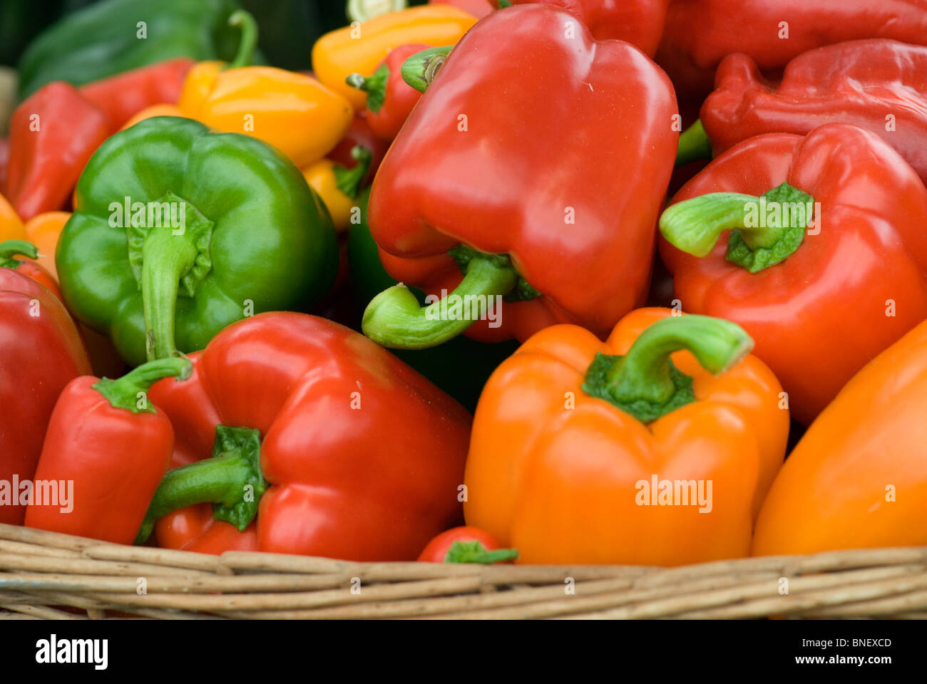 Pepper harvest hi-res stock photography and images - Alamy