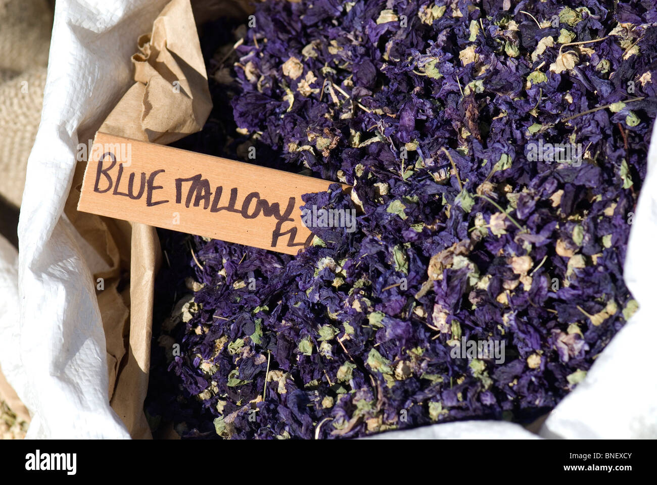 Dried blue mallow flowers hi-res stock photography and images - Alamy