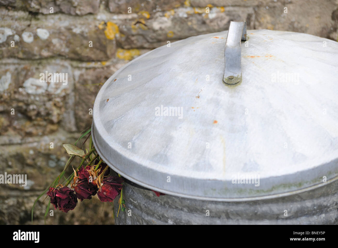 Flowers and rubbish hi-res stock photography and images - Alamy