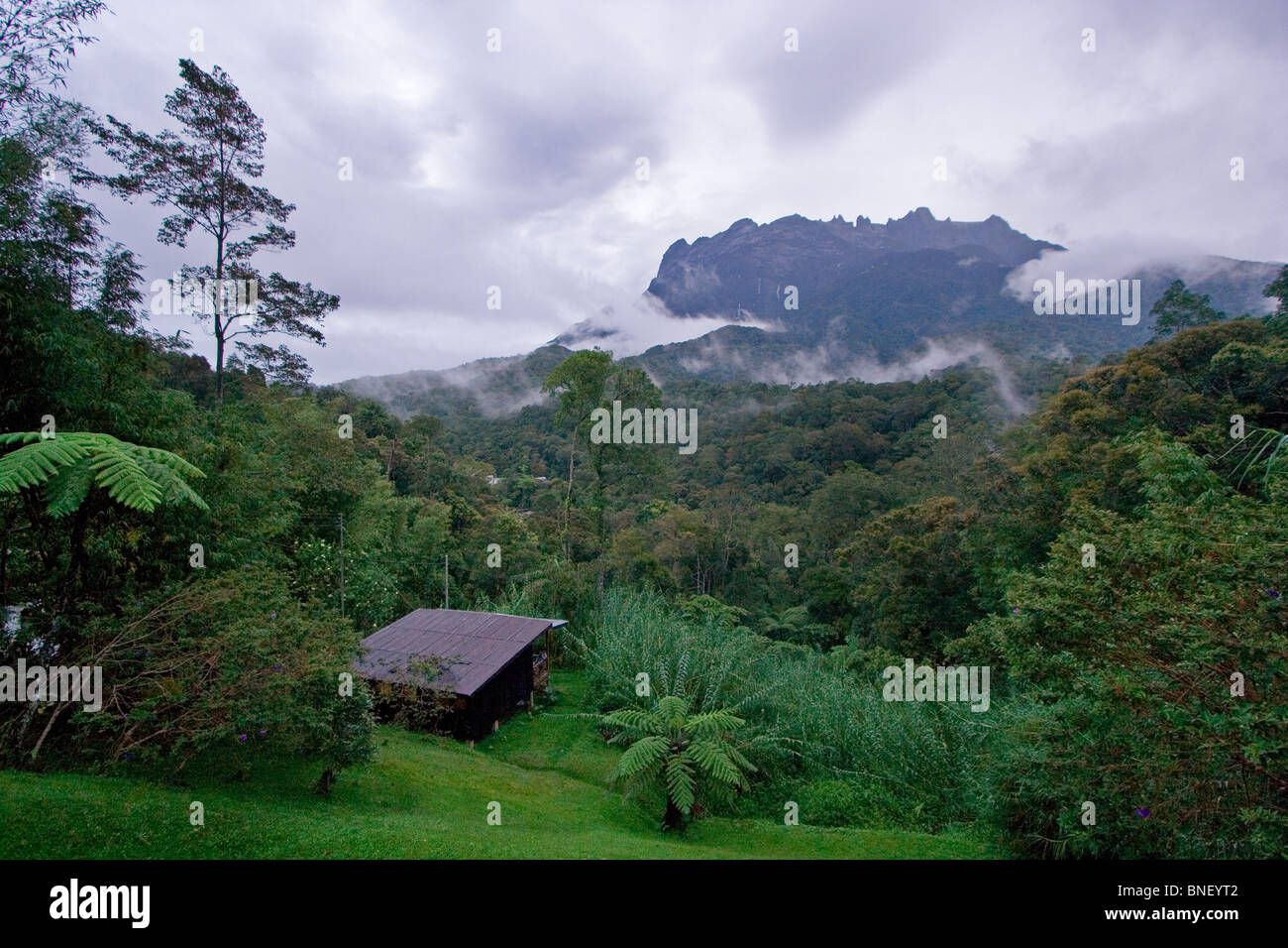 View of Mount Kinabalu, Sabah, Malaysia Stock Photo