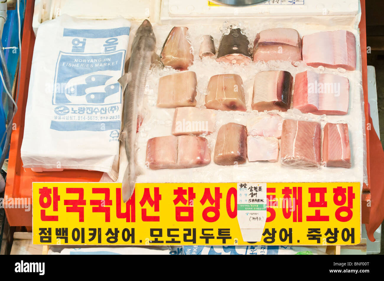 Shark steaks for sale, with baby shark, Noryangjin fish market, Seoul