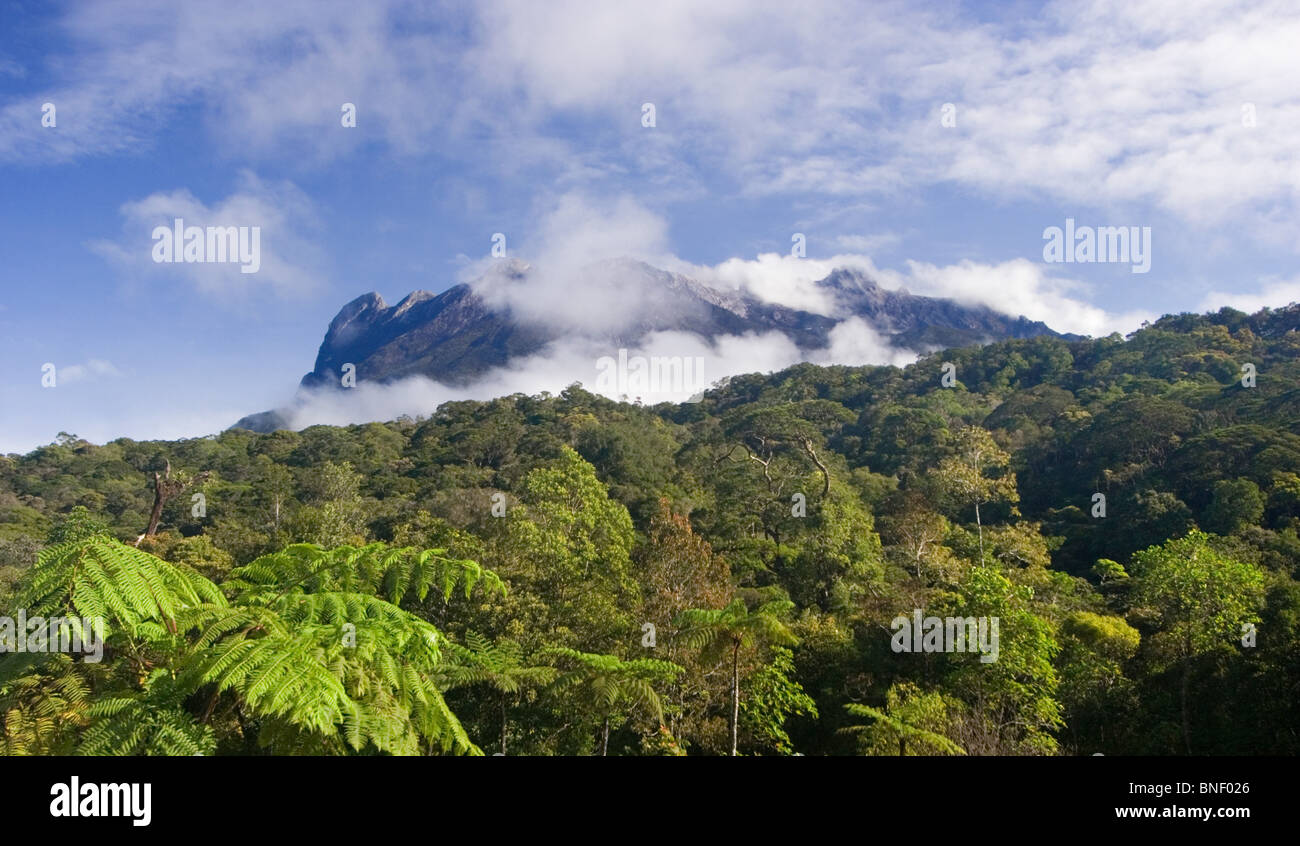 View of Mount Kinabalu, Sabah, Malaysia Stock Photo