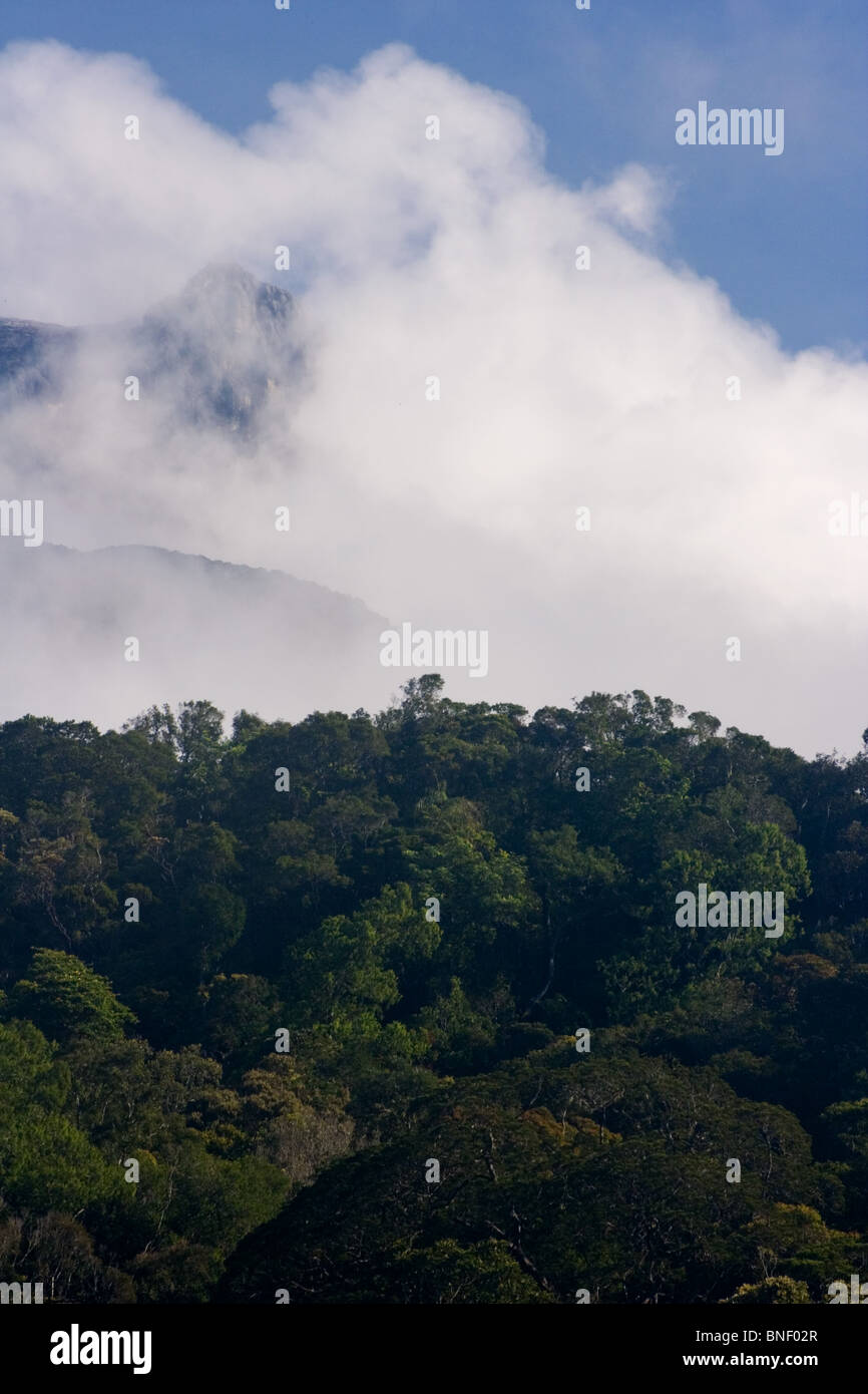 View of Mount Kinabalu, Sabah, Malaysia Stock Photo