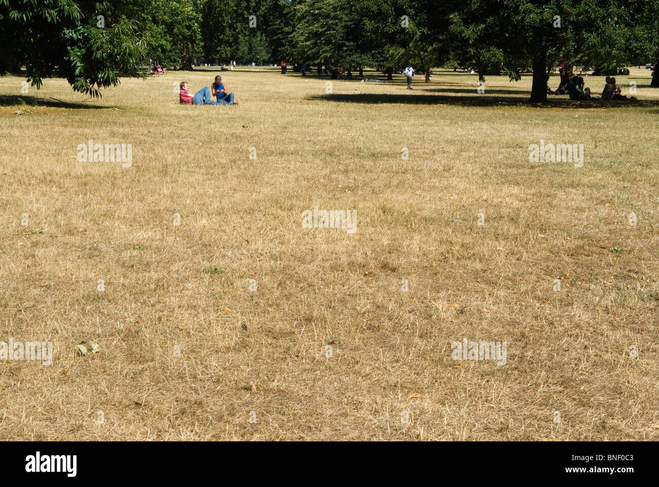 Heat wave a drought hot dry summer parched brown grass Hyde Park London